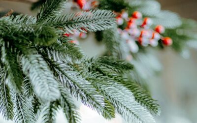 Joyeuses fêtes de fin d’année !